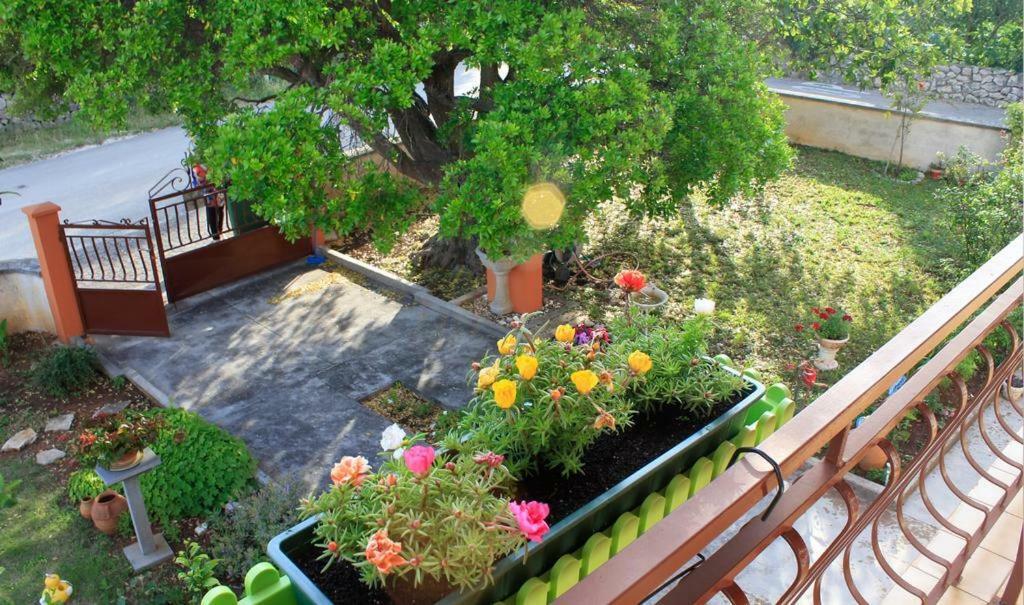 Apartmani Volga Petrčane Zewnętrze zdjęcie