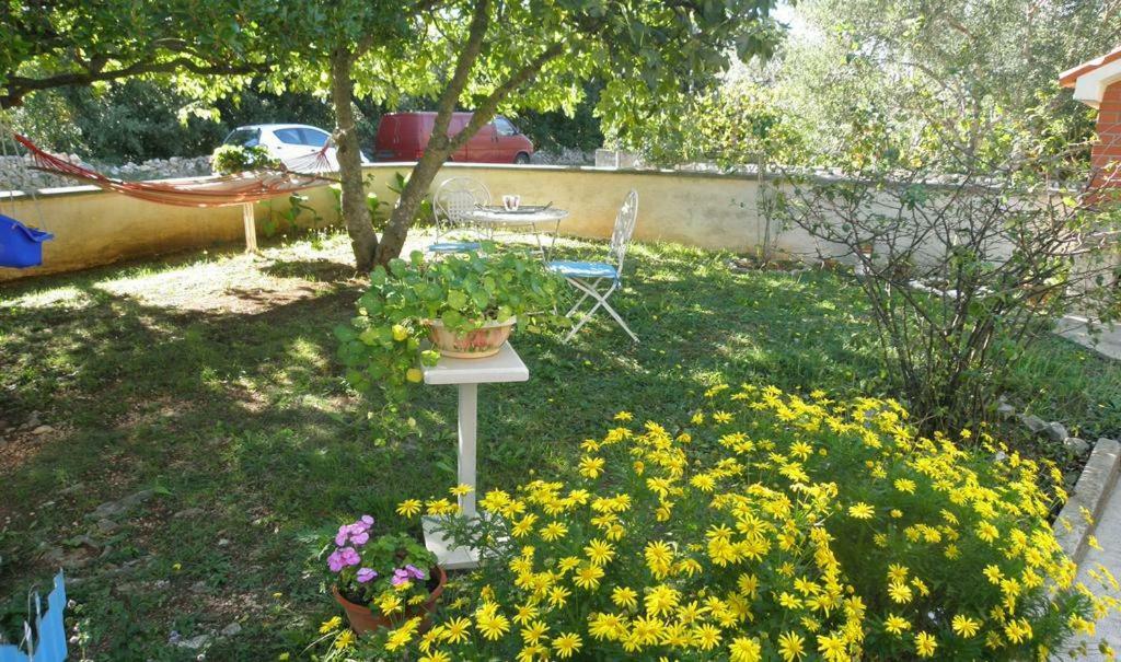 Apartmani Volga Petrčane Zewnętrze zdjęcie